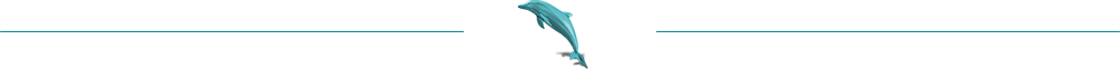 dolphin